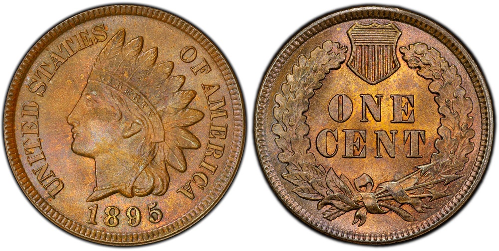 Grading strip showing four 1895 Indian Head pennies in Good Fine Extremely Fine and Uncirculated condition grades side by side